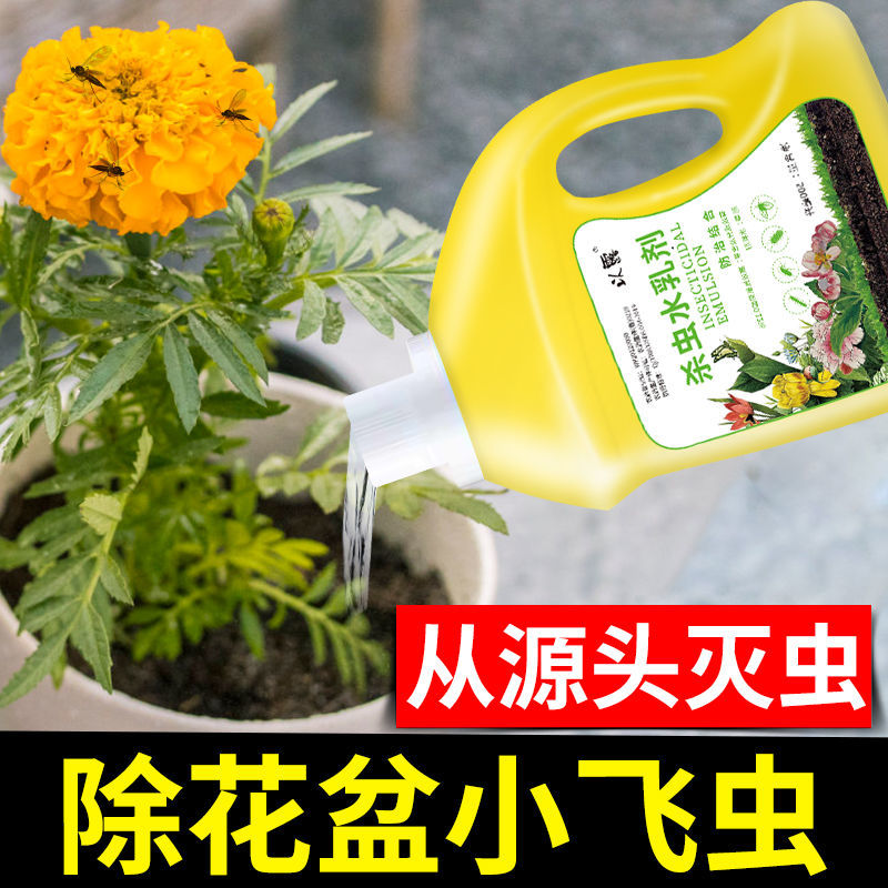 土壤杀虫剂花卉植物多肉通用花药小黑飞蚧壳虫蚜虫家用盆栽杀虫药 以露旗舰店