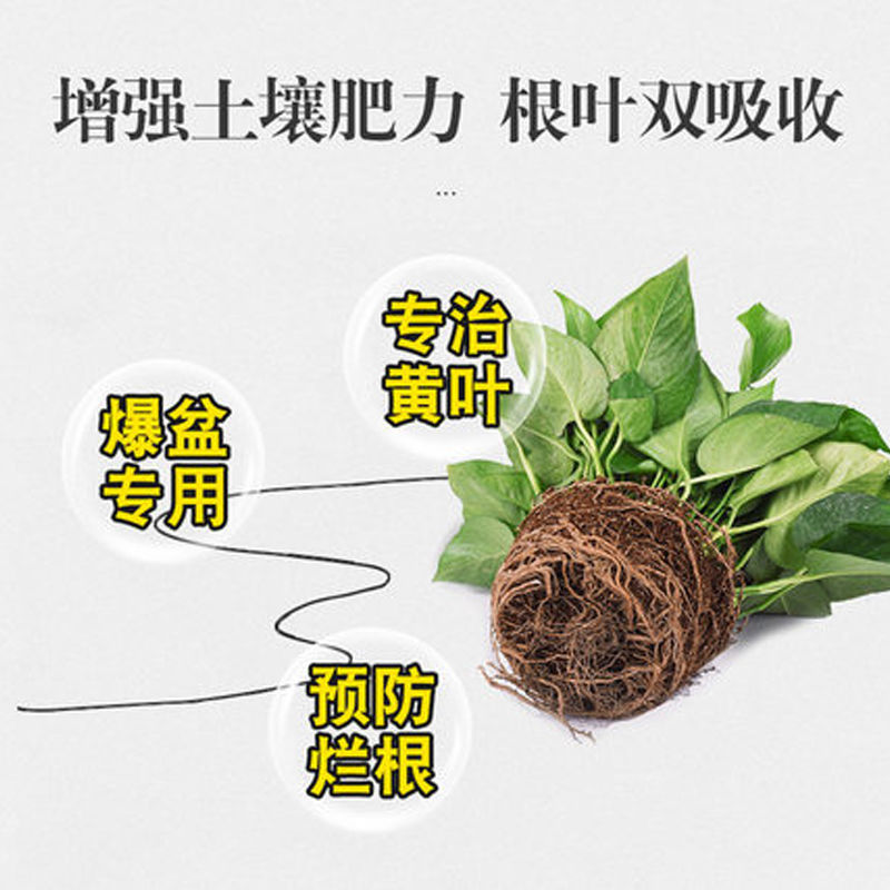 绿萝专用植物营养液家用盆栽花肥料防黄叶水培土培通用叶面肥料 虎窝拼