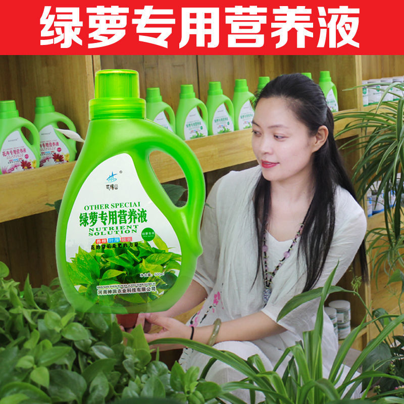 绿萝专用植物营养液家用盆栽花肥料防黄叶水培土培通用叶面肥料 虎窝拼