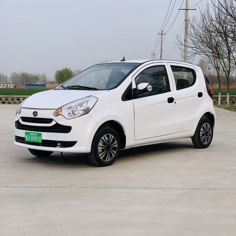 新能源电动汽车成人四轮车纯电动女性家用代步电瓶轿车全封闭两用