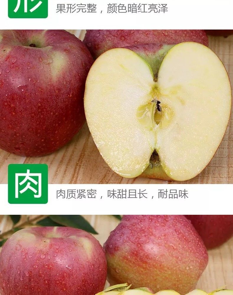 【粉面沙甜】陕西秦冠苹果水果粉面沙甜老人宝宝刮泥新鲜水果