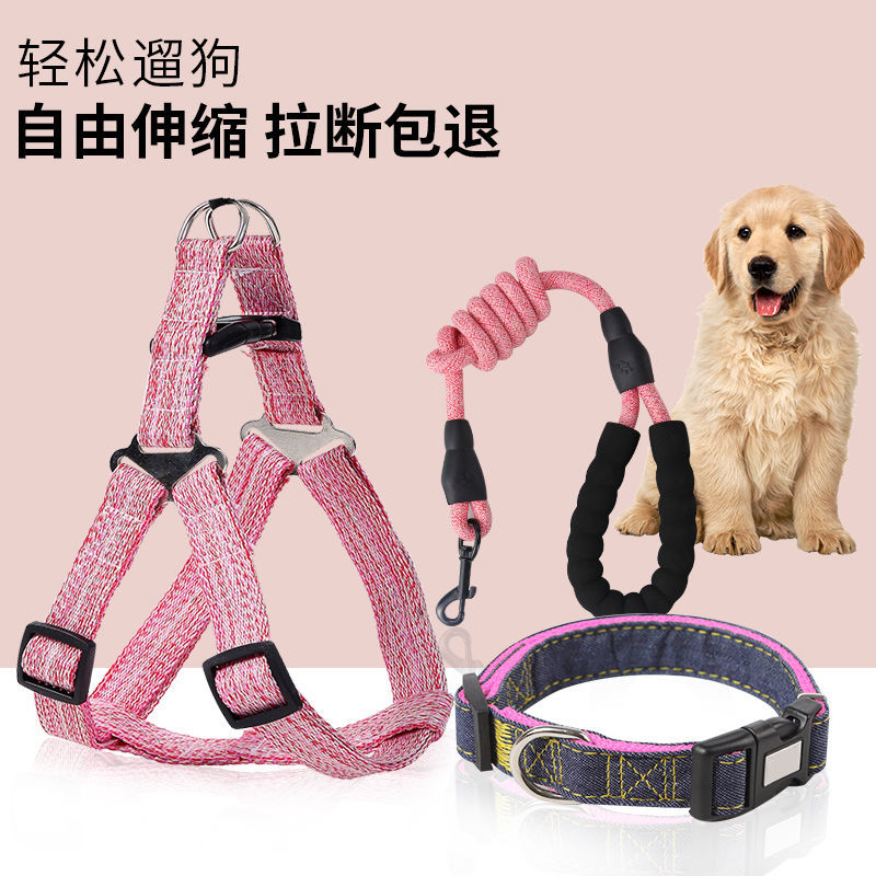 Explosion-proof punching dog leash retractable strap dog walking rope large, medium and small dogs chain collar pet supplies