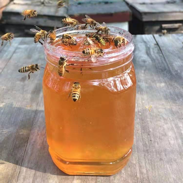 蜂蜜正宗纯正天然蜂巢蜜荆条蜜农家自产自销蜂巢蜜罐装假的不要钱