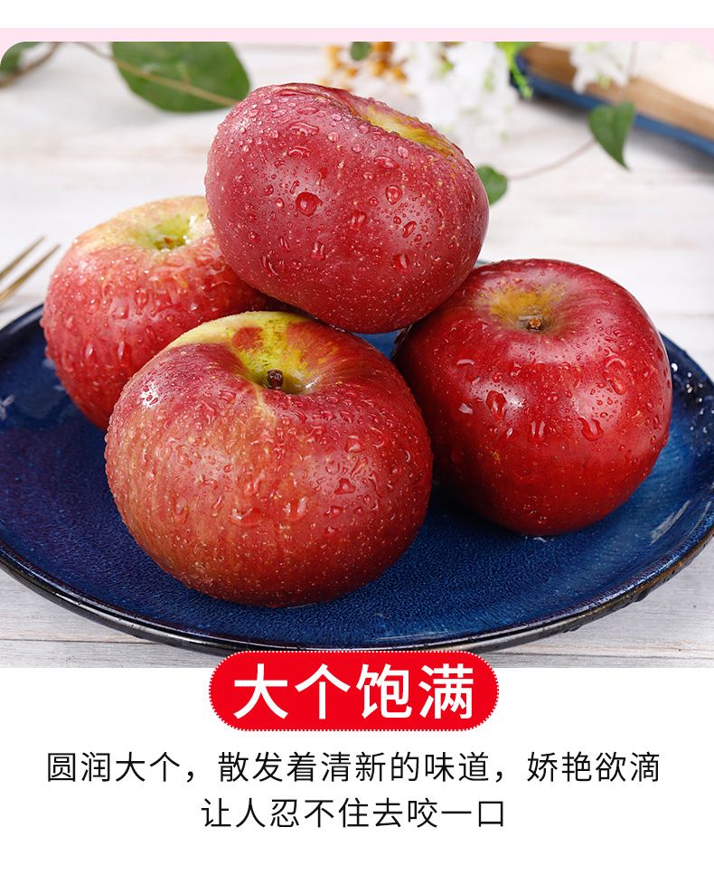  小虎雀 正宗大凉山盐源丑苹果当季新鲜红富士苹果水果整箱