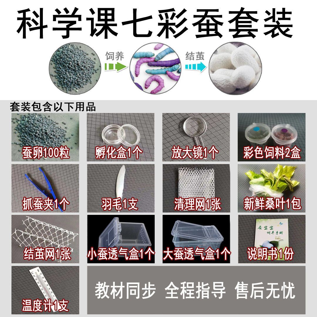 春蚕夏蚕种蚕籽蚕卵桑叶活蚕天然彩色蚕宝宝金丝蚕学生科普套装 虎窝拼