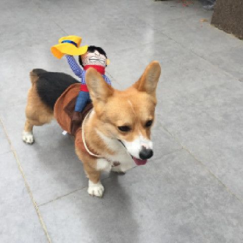 商品缩略图 7