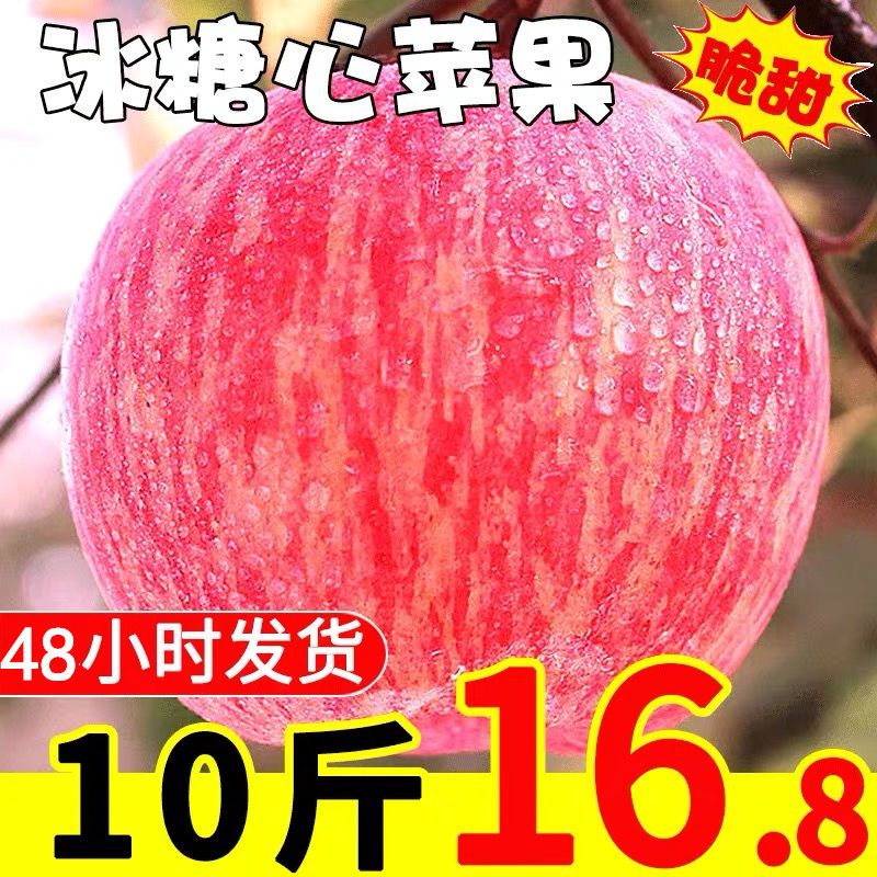 2020年新鲜红富士苹果红富士脆甜多汁3/5/10斤包邮丑苹果孕妇水果