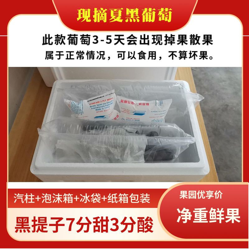 54210-夏黑无籽葡萄新鲜水果当季脆甜低糖黑加仑孕妇儿童黑提子整箱批发-详情图