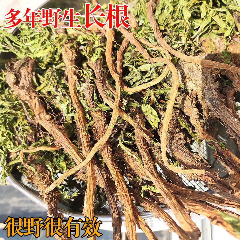 野生蒲公英泡茶纯天然干整棵带根儿叶草排毒清热去火养肝护肝【2月22