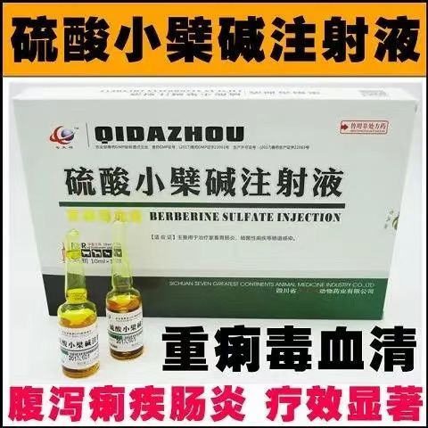 硫酸小檗碱注射液 兽药兽用 猪药牛羊硫酸小柴碱肠炎拉稀黄白痢