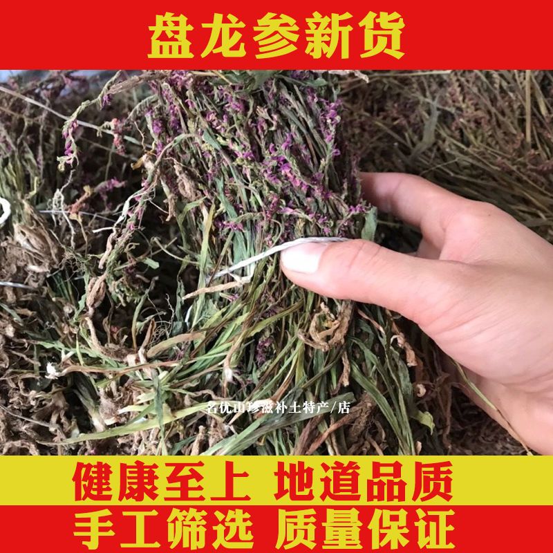 盘龙参中药材龙抱柱镰刀草海珠草龙盘旋猪鞭草鲤鱼草野生干盘龙草