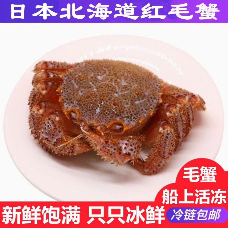 北海道红毛蟹日本三大名蟹之首鲜活海鲜水产大螃蟹冰鲜朝鲜大毛蟹