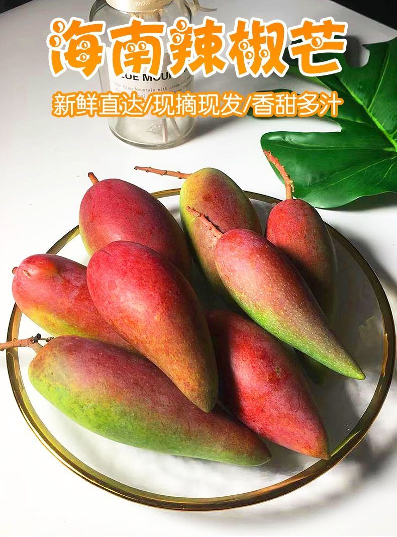 海南辣椒芒当季热带新鲜水果牙签芒贵妃芒果红金龙1/5斤包邮
