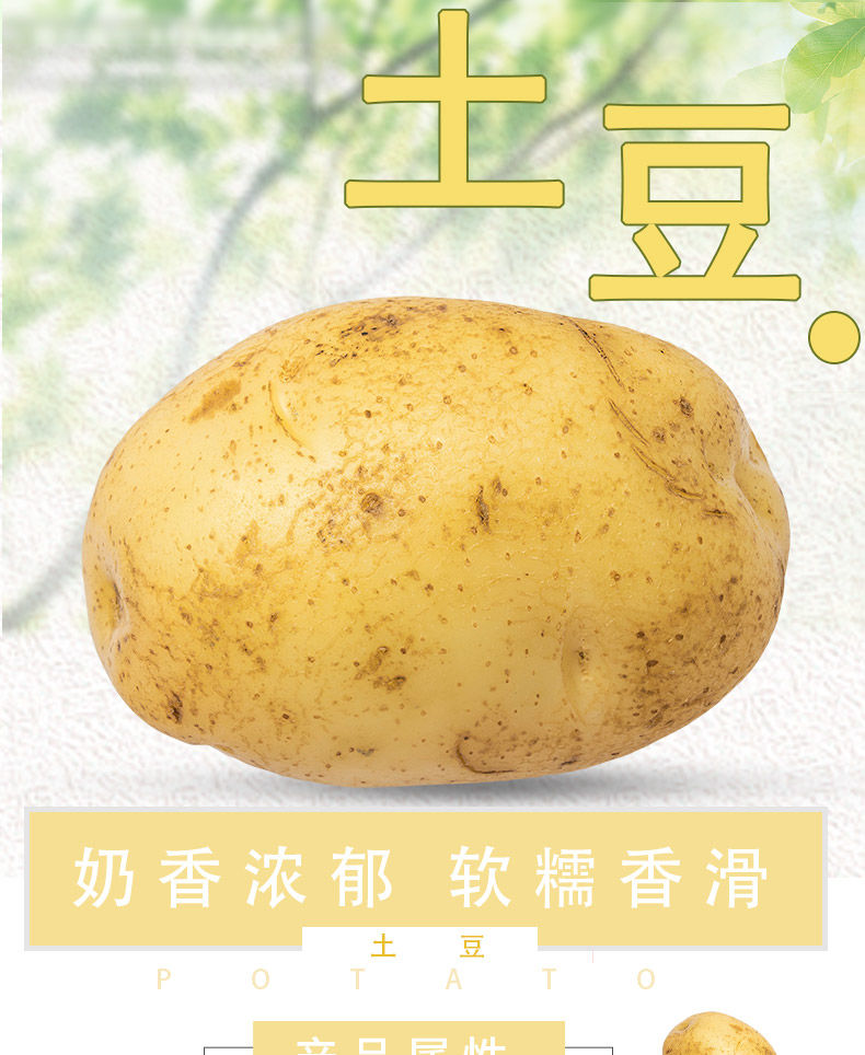  土豆