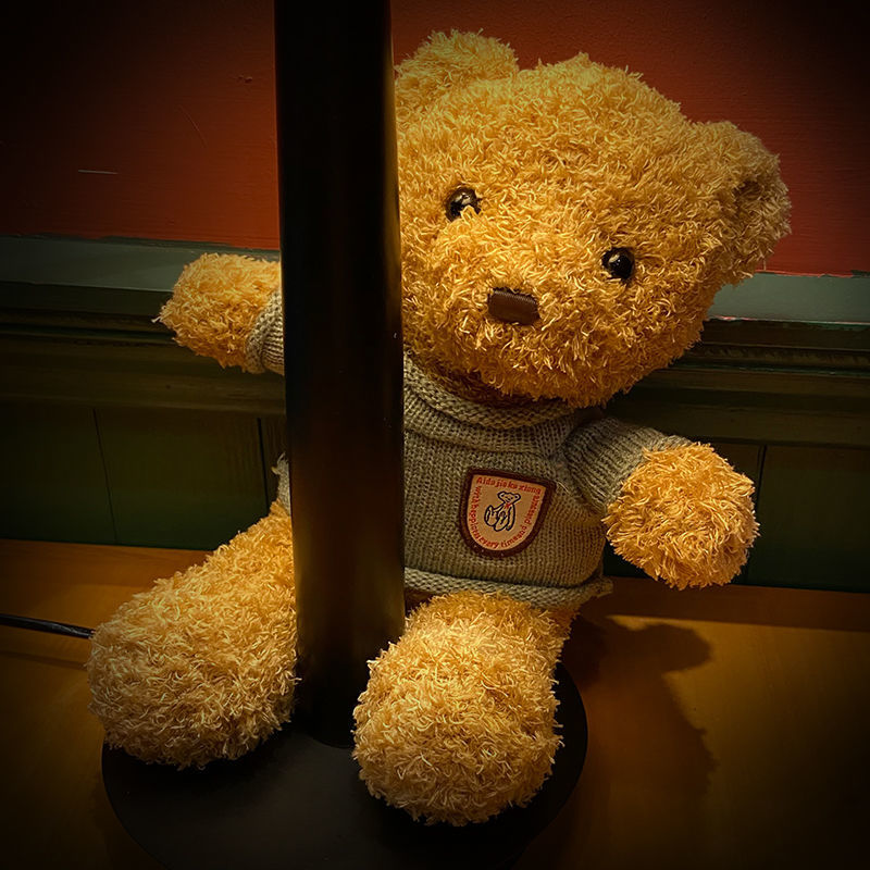 Gift box bear doll teddy bear plush toy doll gift for girls best friend creative sister birthday gift