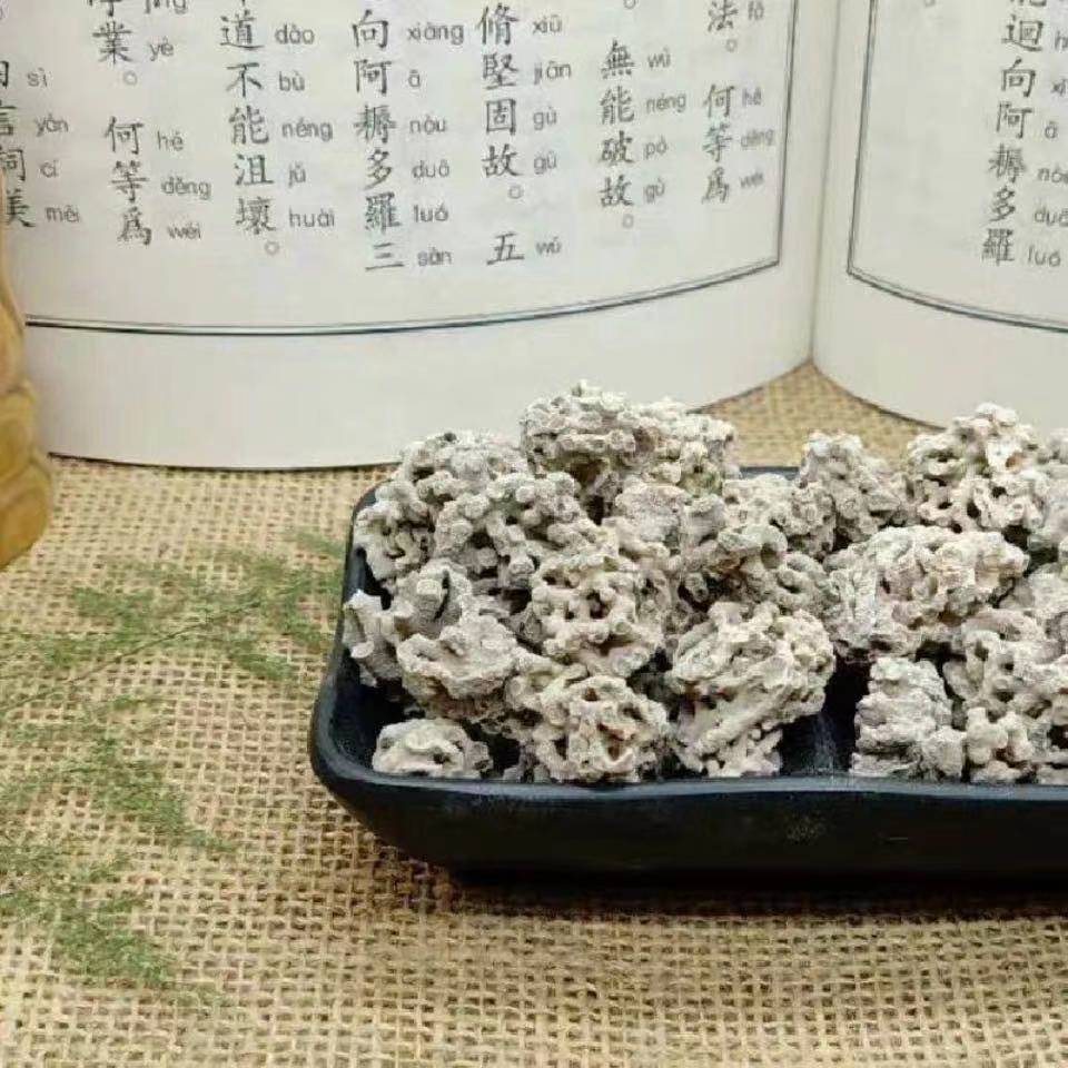 海浮石花 包邮中药材精选海浮石 海石 水泡石 浮海石