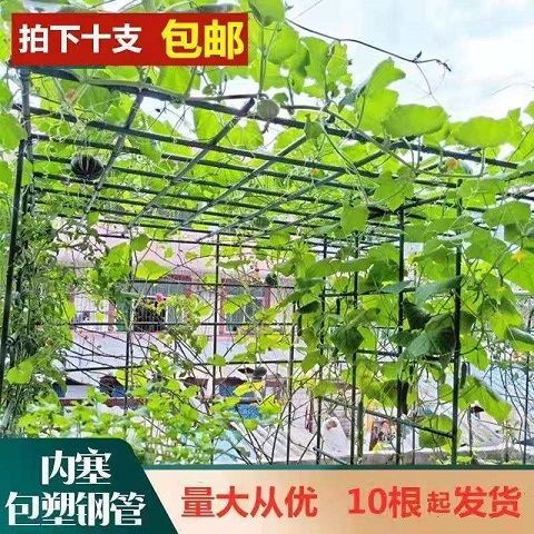 枝晓园艺支柱包塑钢管爬藤支架花支柱月季黄瓜植物花卉藤蔓爬藤 5月5日发完 虎窝拼