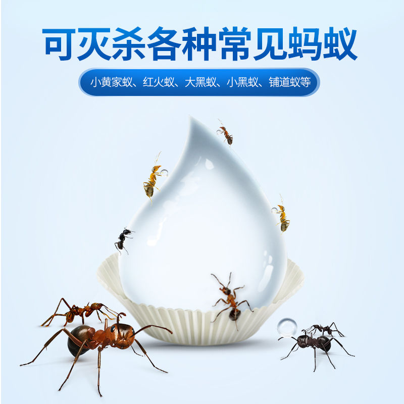 88603-德国拜耳厨房家用杀蚂蚁强效药家用一窝端室内杀红黑黄灭蚁清神器-详情图