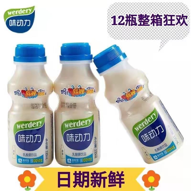 均瑶味动力乳酸菌330ML*12大瓶特价酸奶饮品营养早餐牛奶批发