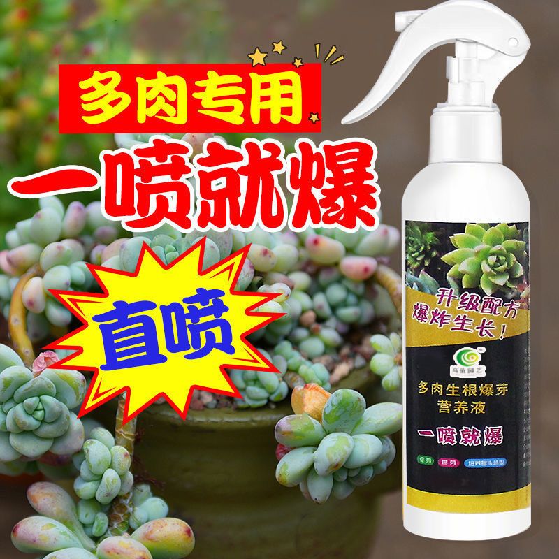 多肉生根爆芽多肉营养液分裂生根增肥增色优芽控徒长多肉专用肥料 婉婉花开车居生活店