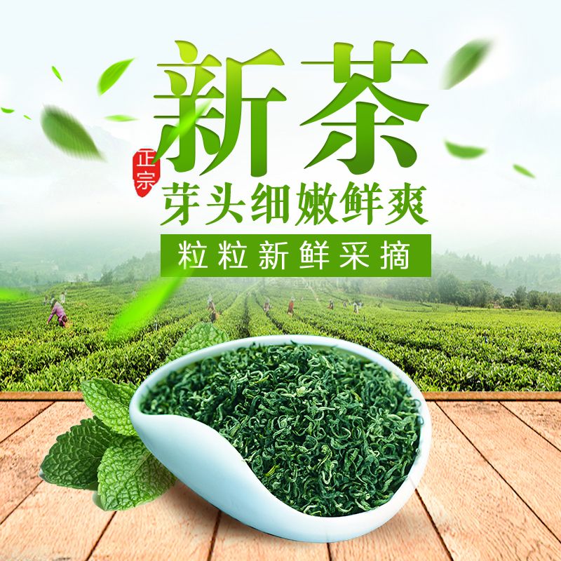 绿茶2020新茶叶高山绿茶日照足明前春茶浓香型耐泡散装袋装绿茶叶