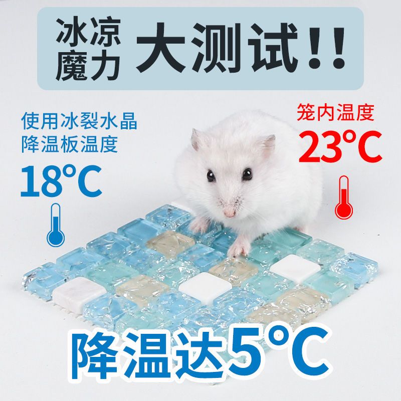 仓鼠夏天降温用品消暑散热板宠物专用冰床龙猫兔子凉席垫避暑夏季