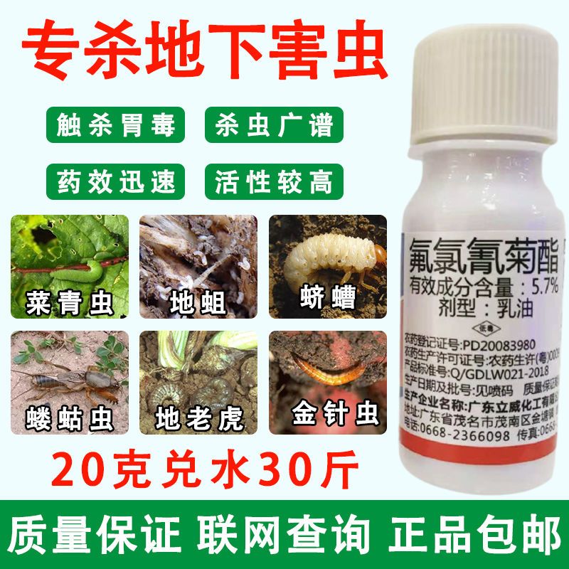 氟氯氰菊酯农药杀虫剂专杀地下害虫地老虎菜青虫蛴螬蝼蛄农药批发