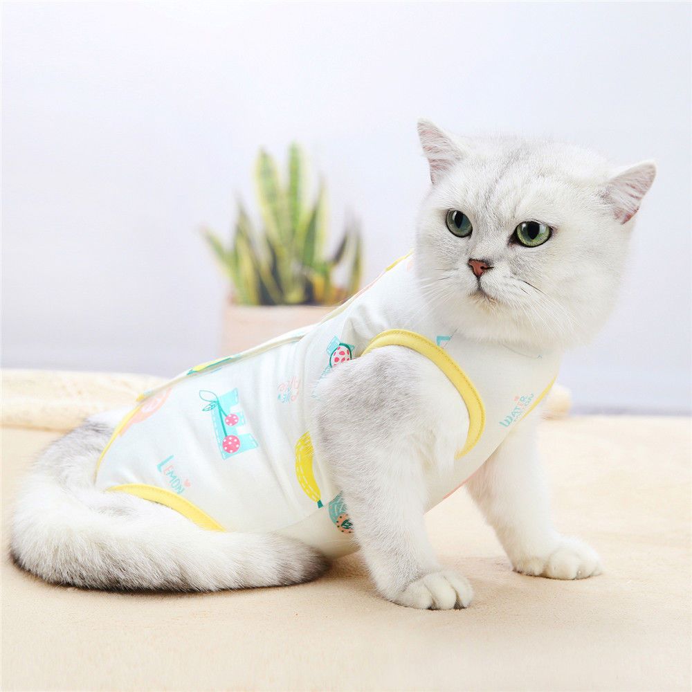 商品缩略图 6