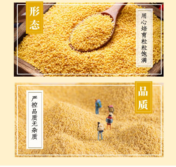 黄小米5斤小米粥月子米养胃小黄米宝宝米糯小米粥新米2斤50g批发