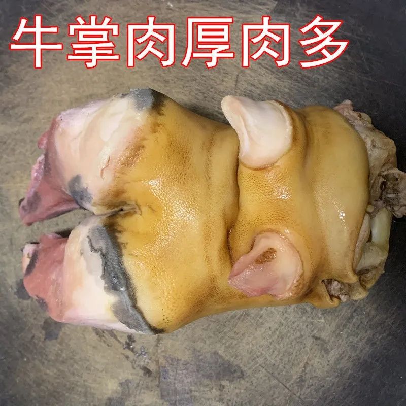 生牛掌新鲜牛蹄掌牛脚牛爪子胶原蛋白自家散养黄牛带骨生牛掌批发