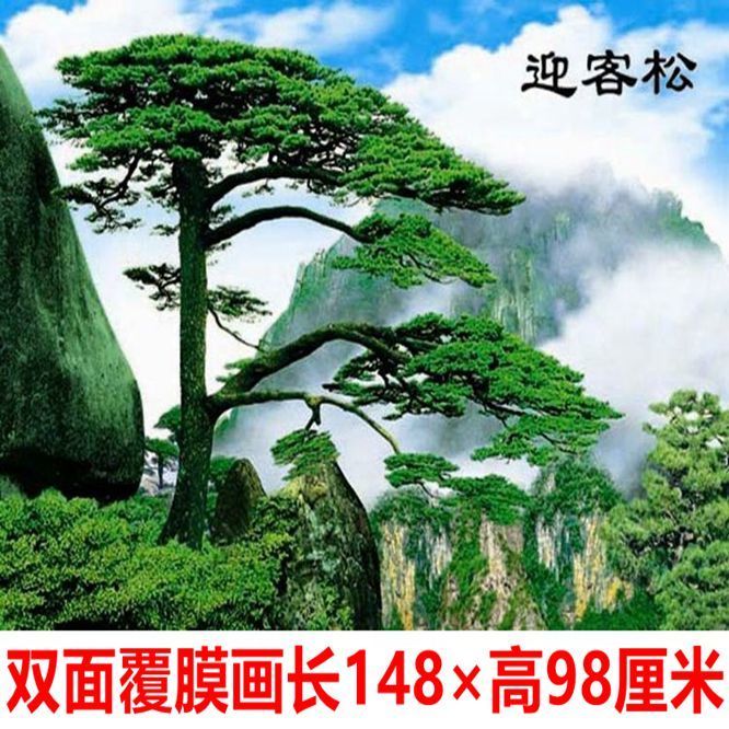 山水风景画江山如画真景迎客松黄山迎客松树竹报平安风景年画