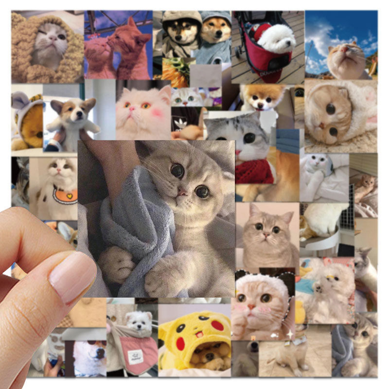 48 cute internet celebrity cat and dog emoticon packs for laptops, waterproof, removable, glue-free waterproof stickers