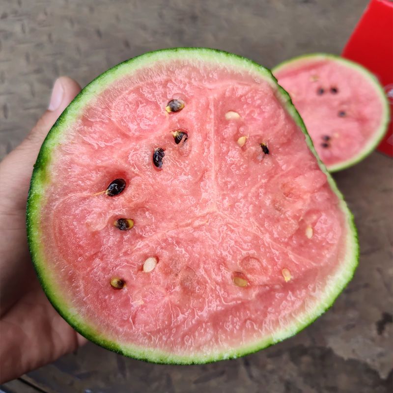 北京大兴庞各庄手剥西瓜小牛奶西瓜袖珍西瓜非麒麟瓜现摘现发