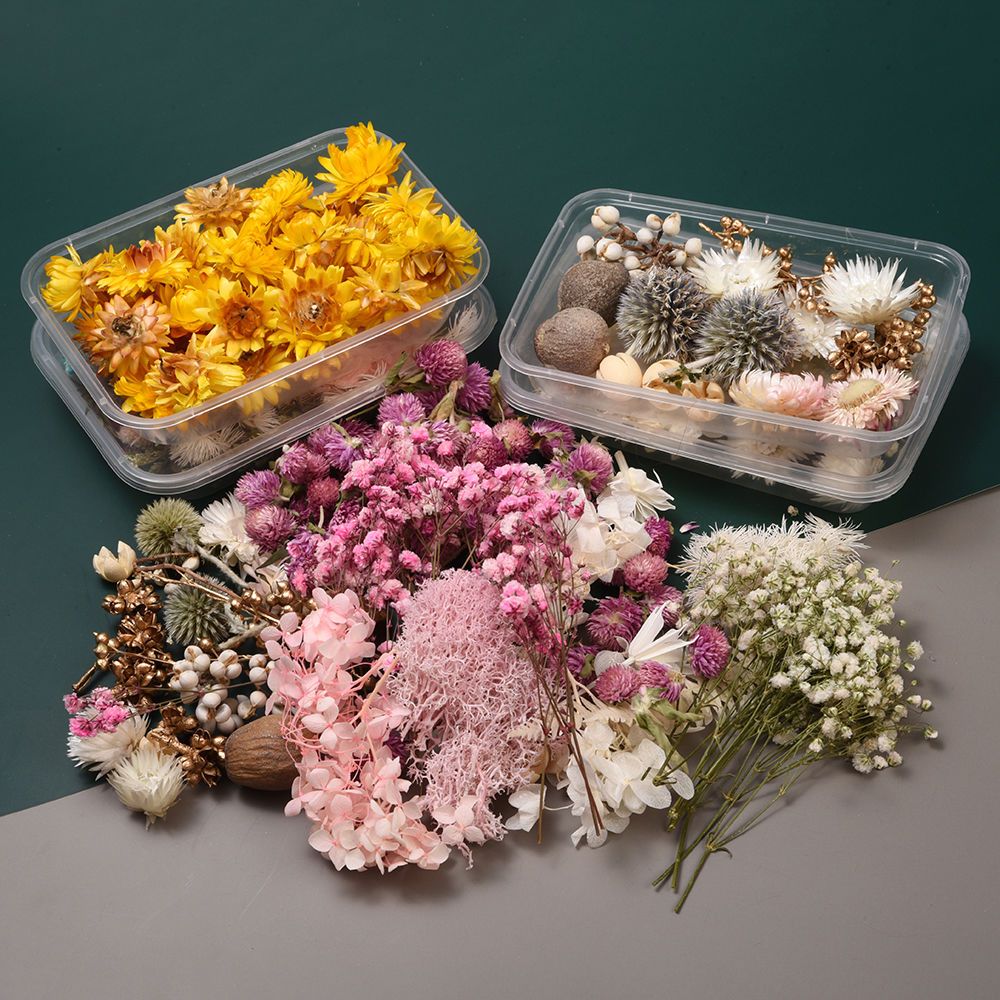 diy混合干花永生花相框手工干花制作滴胶工艺品花材材料包