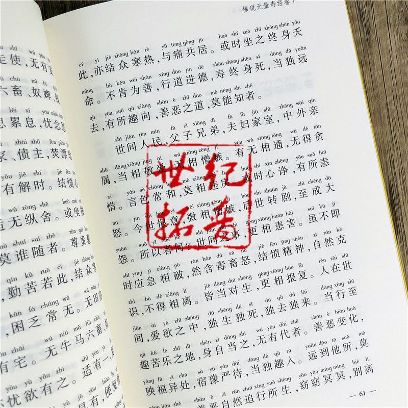 正版净土五经注音读诵本 曹魏 康僧铠等译佛说无量寿经 露天拍賣