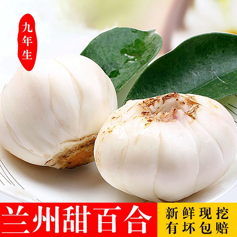 37851-兰州新鲜百合兰州鲜百合无硫甜百合产地直发兰州新鲜农家食用百合-详情图