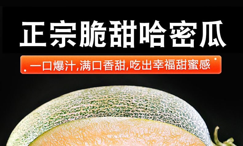 【顺丰包邮】现摘哈密瓜晓蜜25号西州蜜甜瓜3/5斤网纹瓜香瓜