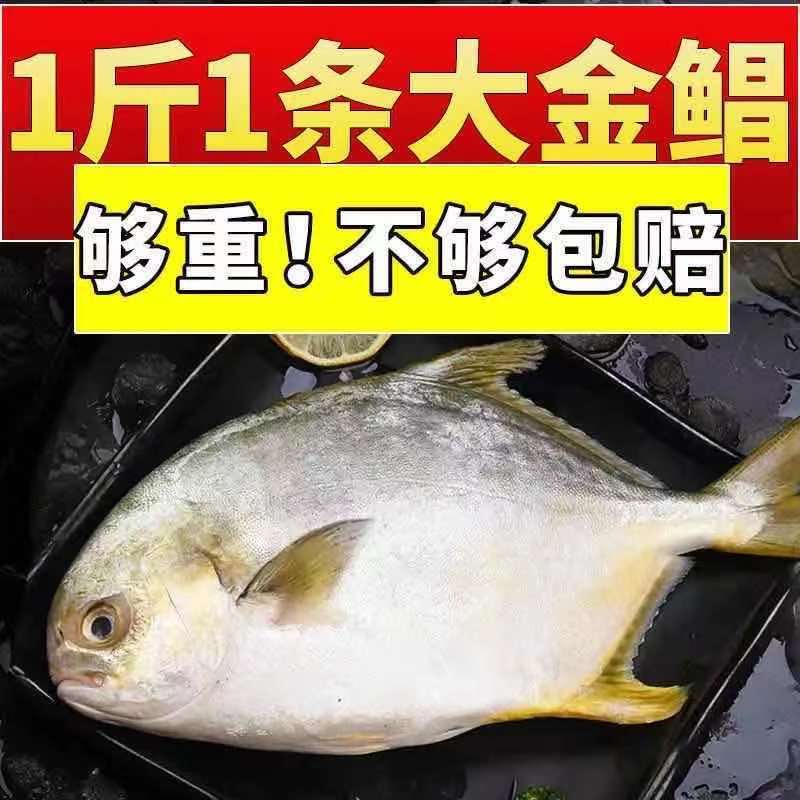 野生超大金鲳鱼新鲜鲜活冷冻白鲳鱼银鲳鱼海鲳鱼鲳鱼平鱼海鲜水产