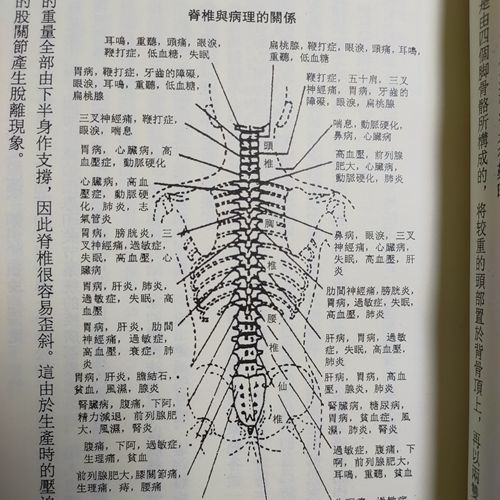 台北現貨萬病皆由背骨起書超清本張萬雄編著經典骨科中醫書籍醫學精粹545 露天拍賣