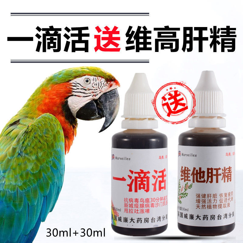 一滴活30ml鸟用救命药文鸟拉稀水便燕丝雀鹦鹉八哥鹩哥鸟类急救药【2