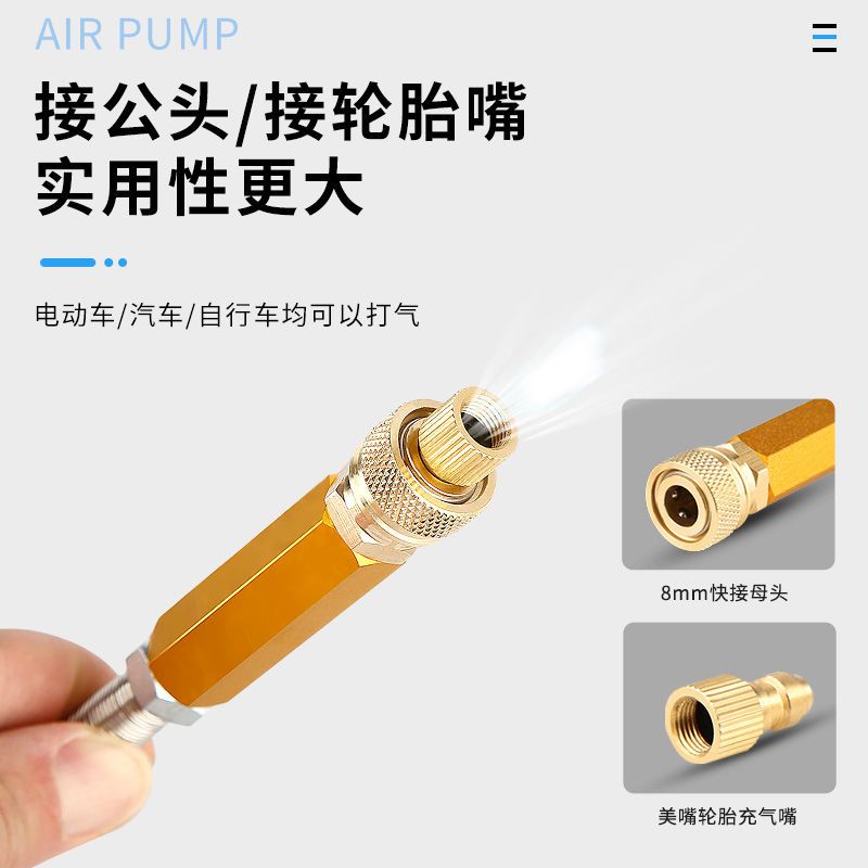 Battery electric vehicle gas pipe pump new three-four-level 30 40mpa car ultra-high pressure inflatable simple bottle