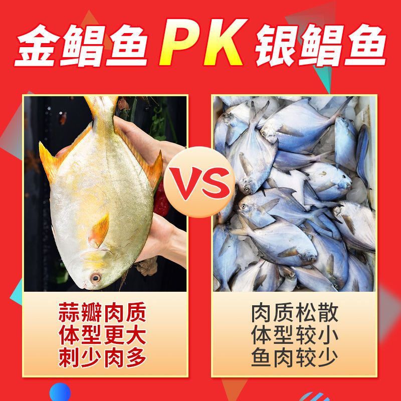 高品质】特大号金鲳鱼海捕野生白鲳鱼平鱼鲜活冷冻金昌鱼银鲳鱼_虎窝拼