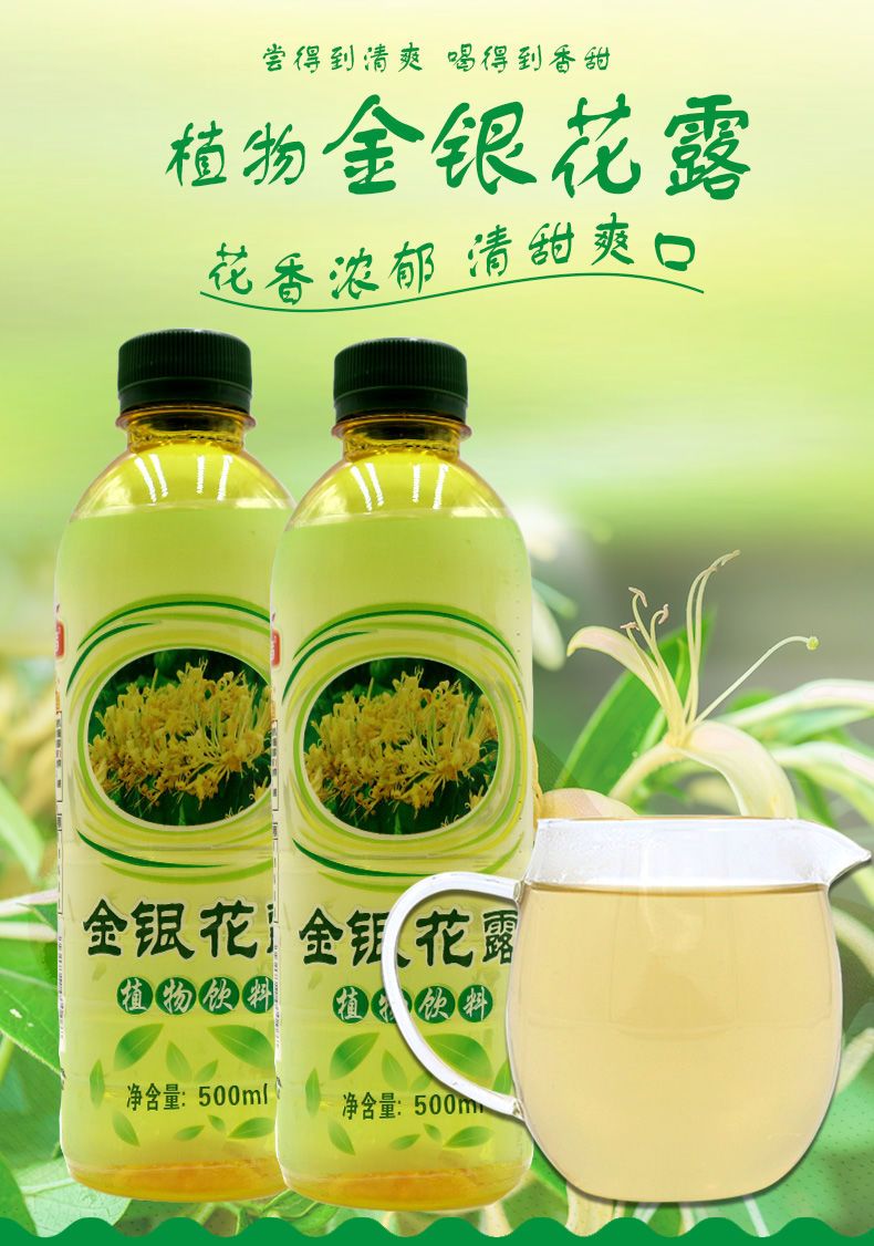 挑战者金银花露植物饮料500ml6瓶夏季清凉饮料不参与兑奖发货