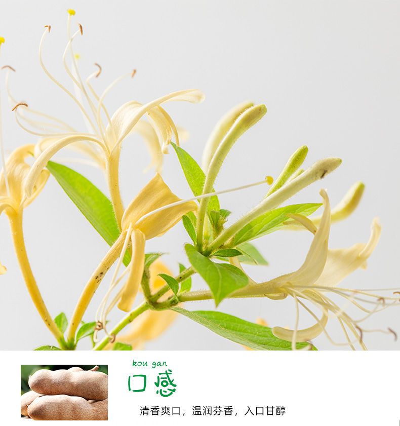 挑战者金银花露植物饮料500ml6瓶夏季清凉饮料不参与兑奖发货