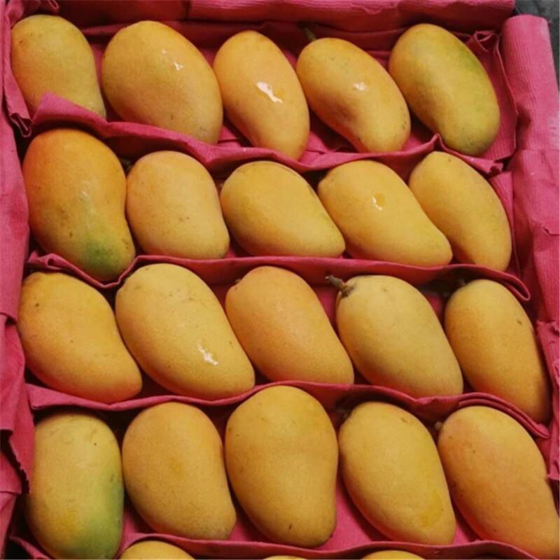 37777-自然熟海南小台芒果水果新鲜小芒果3/5/10斤小台农装非贵妃芒玉芒-详情图