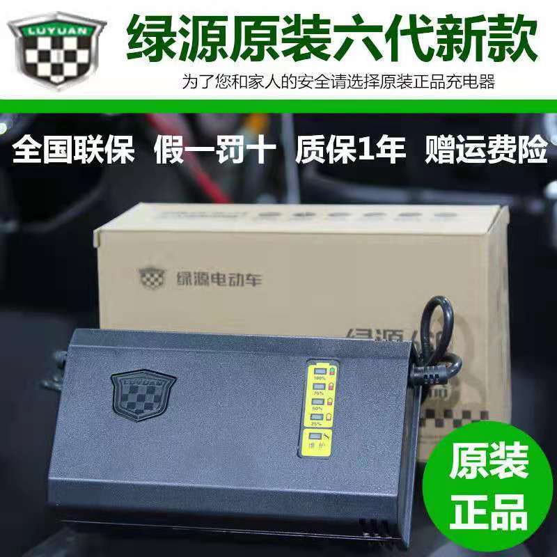 电动车充电器绿源电动车充电器电瓶车充电器电车充电器原厂正品