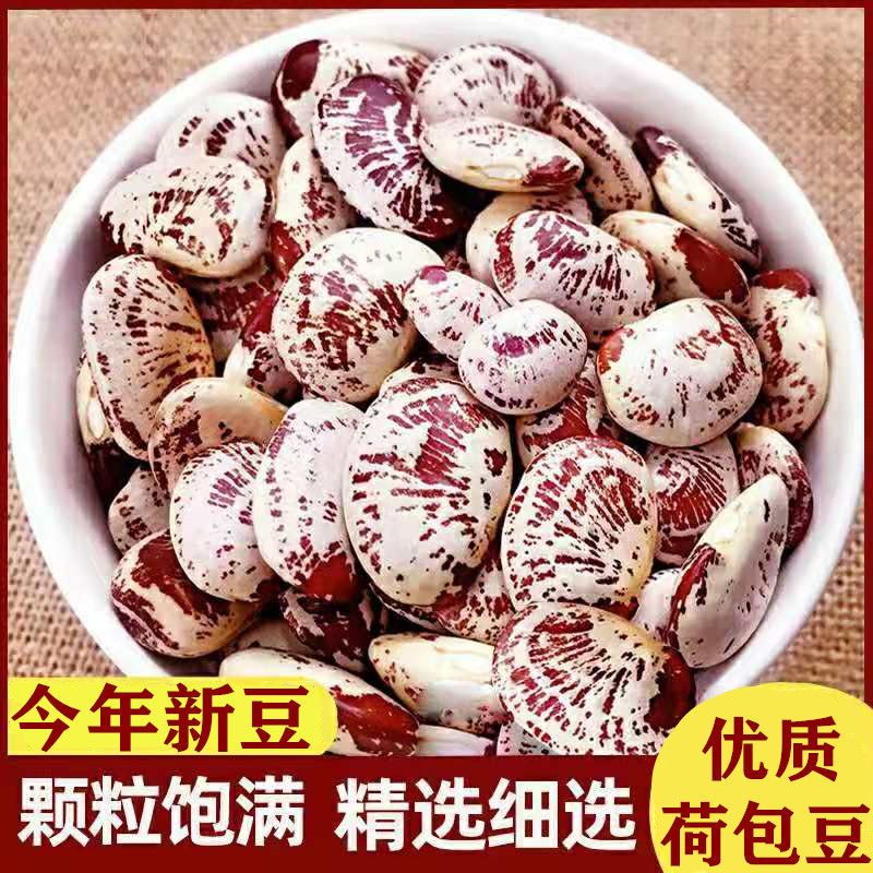 云南农家荷包豆状元豆大肾豆类杂粮粗粮焖饭豆花芸豆粘豆包菜豆