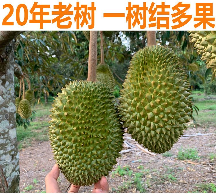 59dc6622-84ae-4de4-bbab-dc3d34903ce3.jpeg.a.jpeg