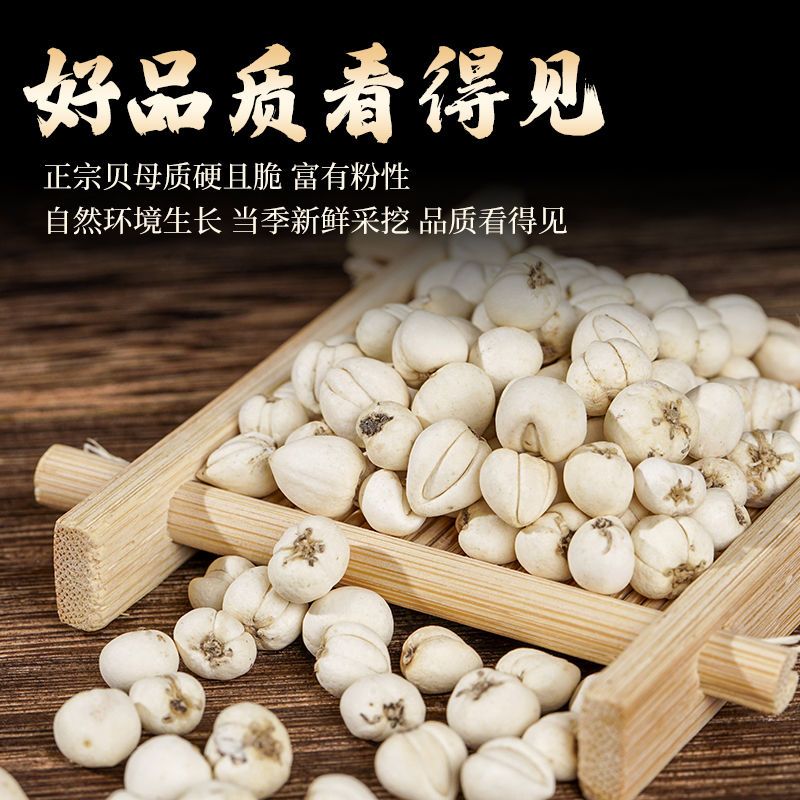 特级小川贝母四川中药材泡茶川贝粉纯野生浙贝母松贝配枇杷膏冰糖