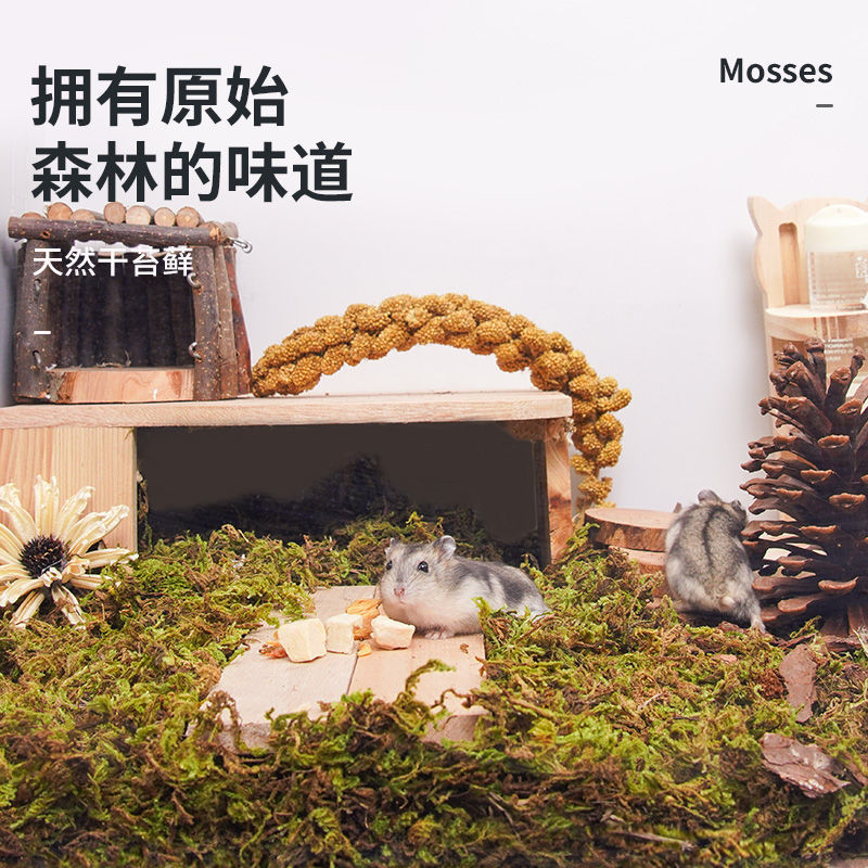Chongshangtian hamster forest moss bedding landscaping supplies Golden Bear natural garden decoration DIY nesting excavation